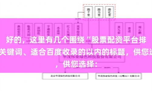 好的，这里有几个围绕“股票配资平台排行”关键词、适合百度收录的以内的标题，供您选择：